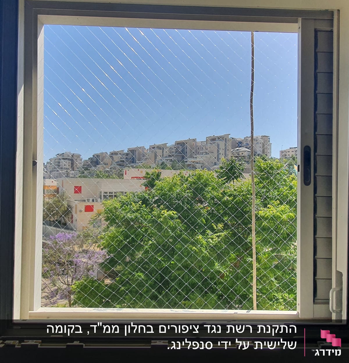 חלון פתוח עם רשת נגד יונים ונוף עירוני